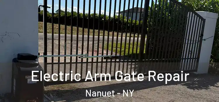 Electric Arm Gate Repair Nanuet - NY