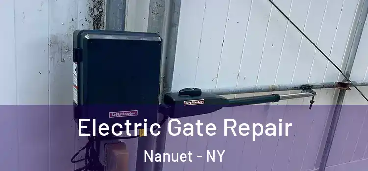 Electric Gate Repair Nanuet - NY