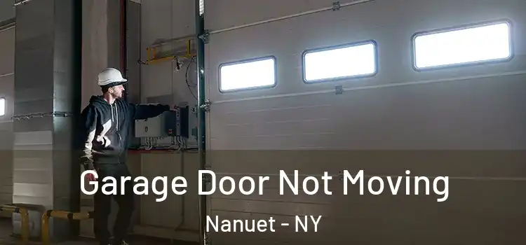  Garage Door Not Moving Nanuet - NY