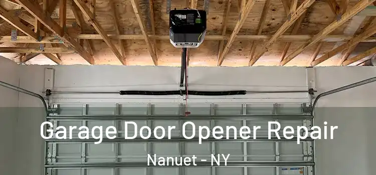  Garage Door Opener Repair Nanuet - NY