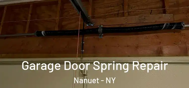  Garage Door Spring Repair Nanuet - NY
